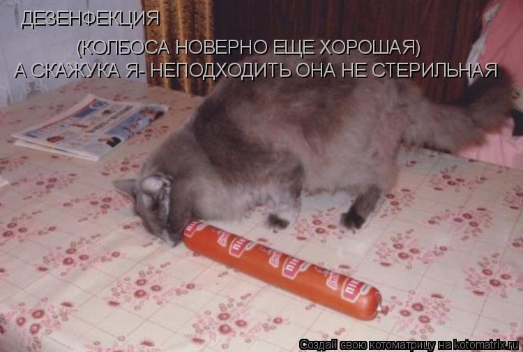Котоматрица: ДЕЗЕНФЕКЦИЯ (КОЛБОСА НОВЕРНО ЕЩЕ ХОРОШАЯ) А СКАЖУКА Я- НЕПОДХОДИТЬ ОНА НЕ СТЕРИЛЬНАЯ