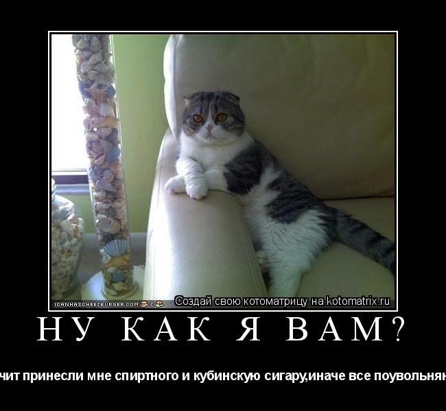 Котоматрица: ну как я вам? Значит принесли мне спиртного и кубинскую сигару,иначе все поувольняю!!!!