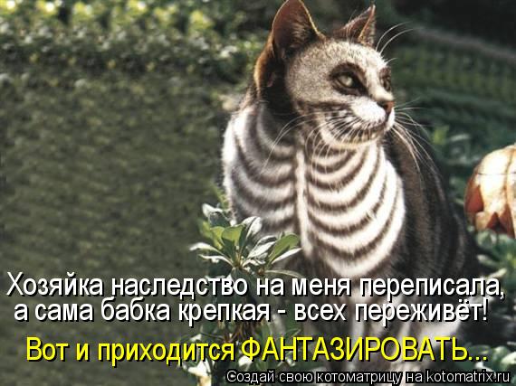 Хозяйка наследство на меня переписала, а сама бабка крепкая - всех переживёт! Вот и приходится ФАНТАЗ... Котоматрица: Хозяйка наследство на меня переписала, а сама бабка крепкая - всех переживёт! Вот и приходится ФАНТАЗИРОВАТЬ...
