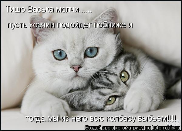 Котоматрица: Тишо Васька молчи...... пусть хозяин подойдет поближе и  тогда мы из него всю колбасу выбьем!!!!
