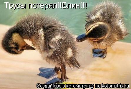 Котоматрица: Трусы потерял!!Блин!!!