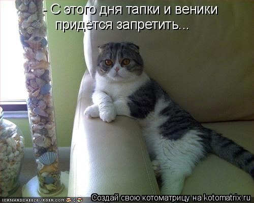 Котоматрица: - С этого дня тапки и веники  придётся запретить...