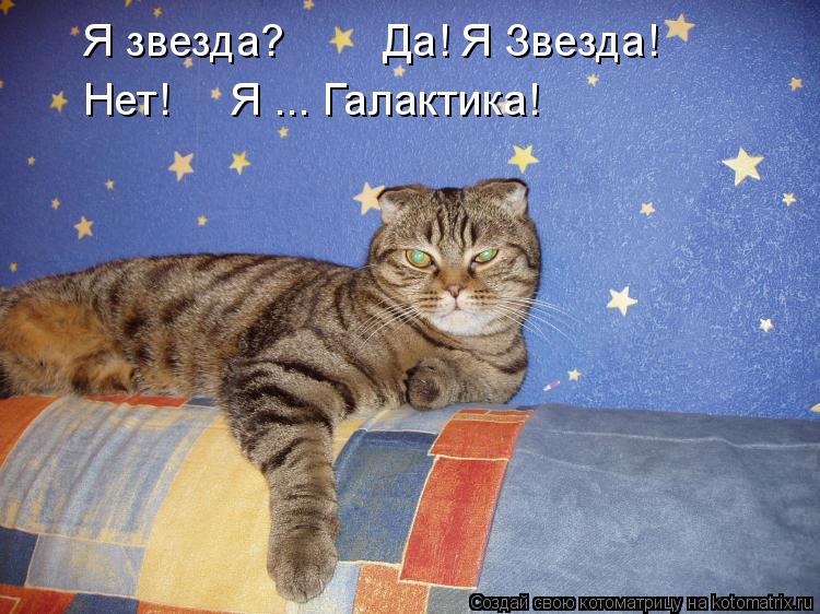 Котоматрица: Я звезда?        Да! Я Звезда!  Нет!     Я ... Галактика!