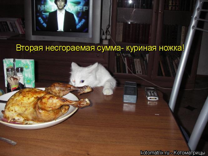 Котоматрица: Вторая несгораемая сумма- куриная ножка!