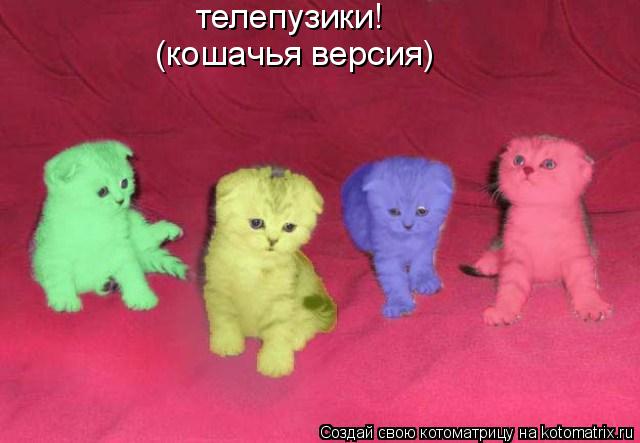 Котоматрица: телепузики! (кошачья версия)