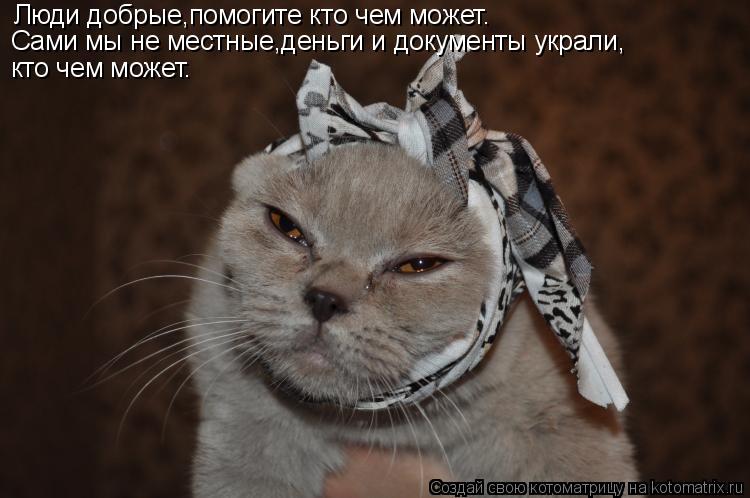 Котоматрица: Люди добрые,помогите кто чем может. Сами мы не местные,деньги и документы украли, кто чем может.