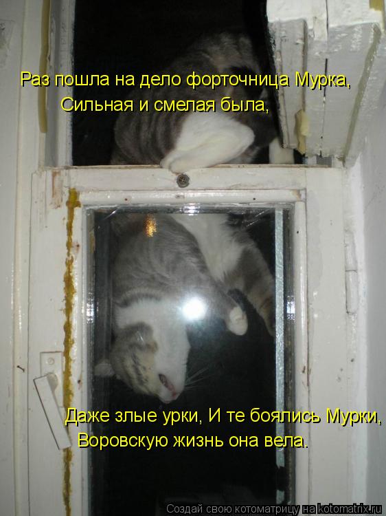 Раз пошла на дело форточница Мурка, Сильная и смелая была, Даже злые урки, И те боялись Мурки, Воровс... Котоматрица: Раз пошла на дело форточница Мурка, Сильная и смелая была, Даже злые урки, И те боялись Мурки, Воровскую жизнь она вела.