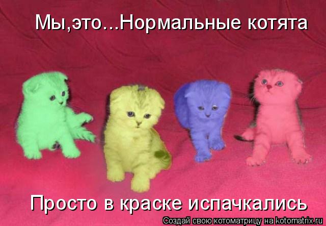 Котоматрица: Мы,это...Нормальные котята Просто в краске испачкались