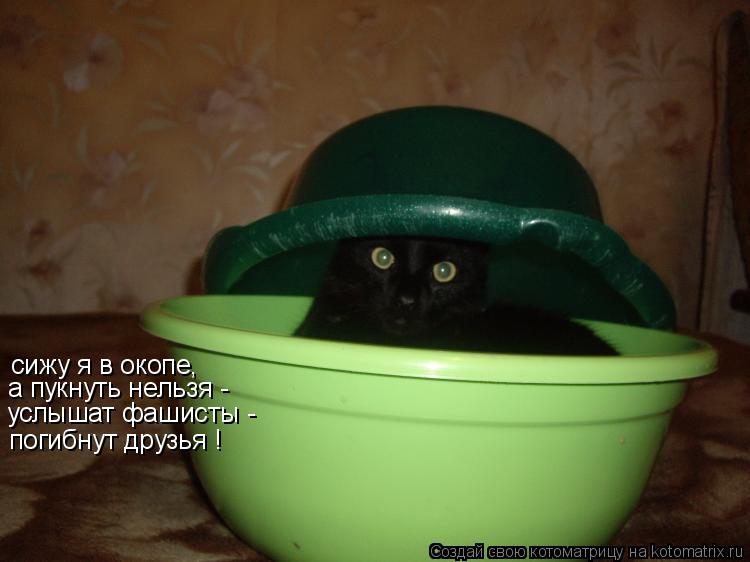 Котоматрица: сижу я в окопе, сижу я в окопе, а пукнуть нельзя - услышат фашисты - погибнут друзья !