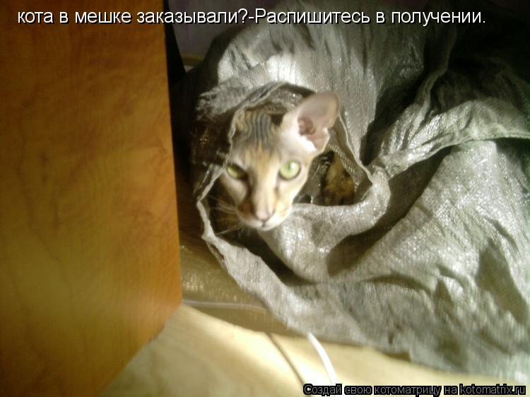 Котоматрица: кота в мешке заказывали?-Распишитесь в получении.