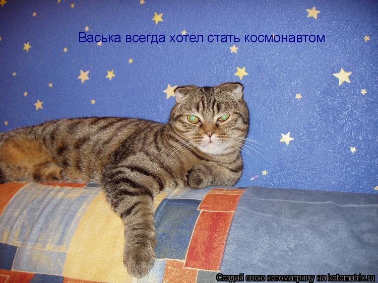 Котоматрица: Васька всегда хотел стать космонавтом