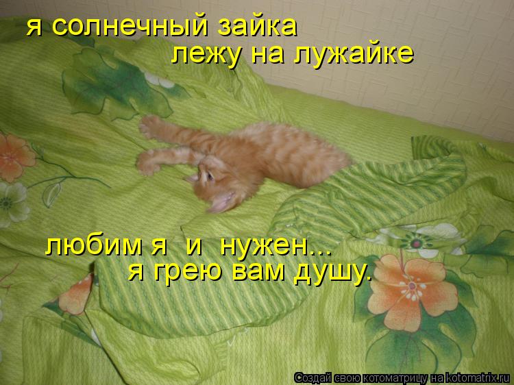 Котоматрица: я солнечный зайка лежу на лужайке любим я  и  нужен... я грею вам душу.