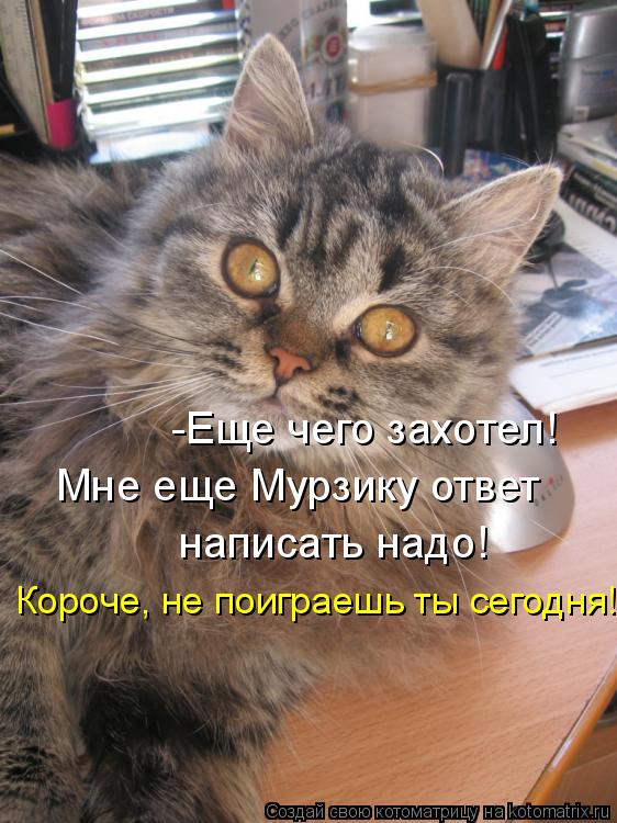 Котоматрица: -Еще чего захотел!  Мне еще Мурзику ответ   написать надо! Короче, не поиграешь ты сегодня!