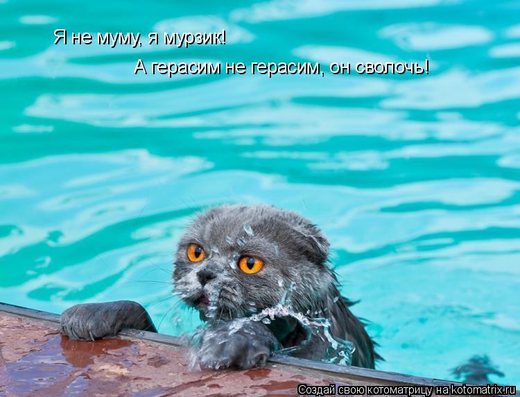 Котоматрица: Я не муму, я мурзик! А герасим не герасим, он сволочь!