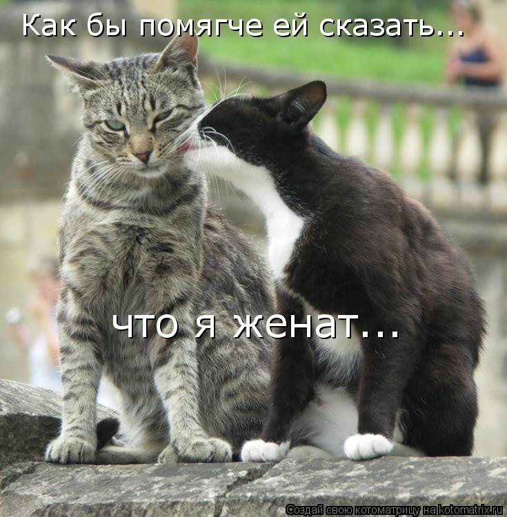 Котоматрица: Как бы помягче ей сказать... что я женат...