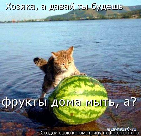 Котоматрица: Хозяка, а давай ты будешь фрукты дома мыть, а?