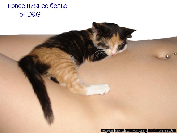 Котоматрица: новое нижнее бельё от D&G