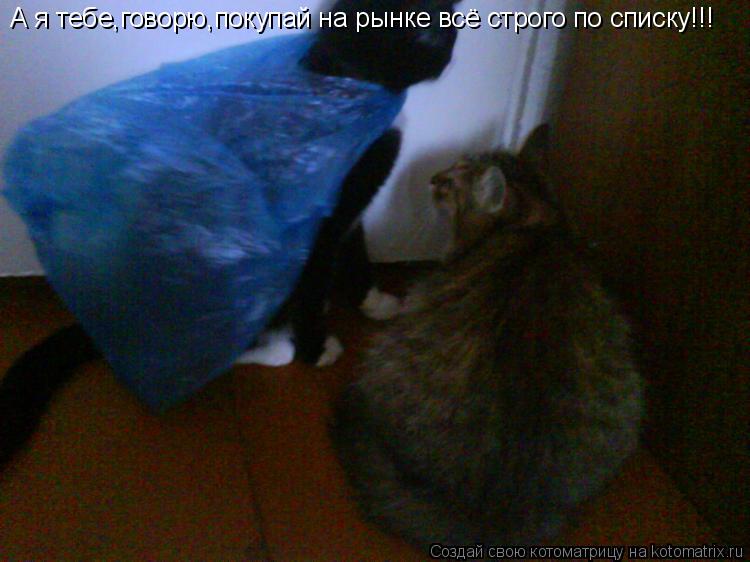 Котоматрица: А я тебе,говорю,покупай на рынке всё строго по списку!!!