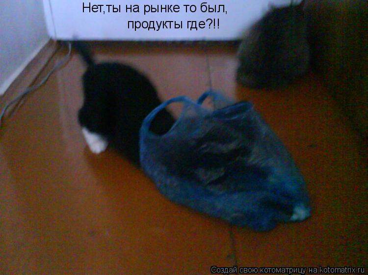Котоматрица: Нет,ты на рынке то был, продукты где?!!