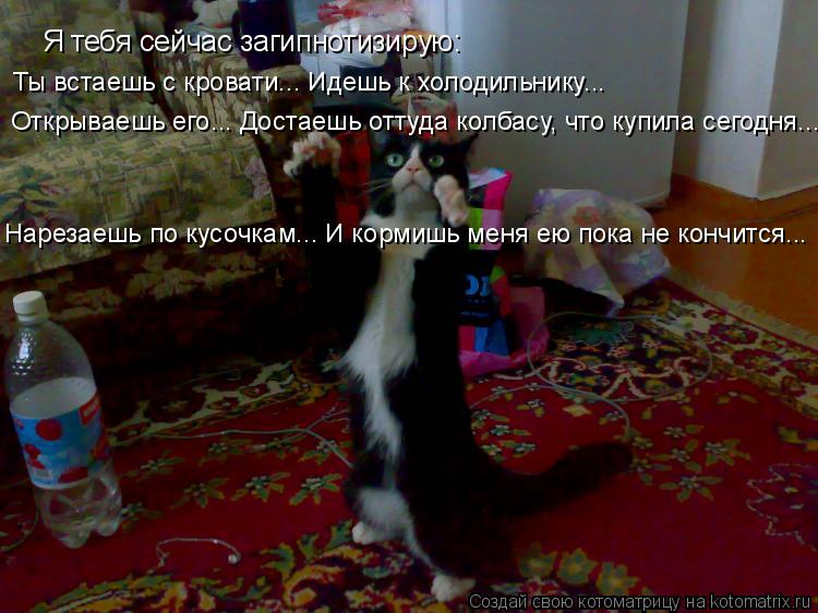 Котоматрица: Я тебя сейчас загипнотизирую: Ты встаешь с кровати... Идешь к холодильнику...  Открываешь его... Достаешь оттуда колбасу, что купила сегодня... 