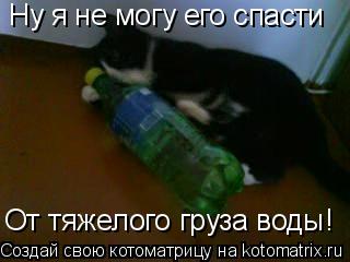 Котоматрица: Ну я не могу его спасти От тяжелого груза воды!