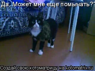 Котоматрица: Да. Может мне еще помычать???
