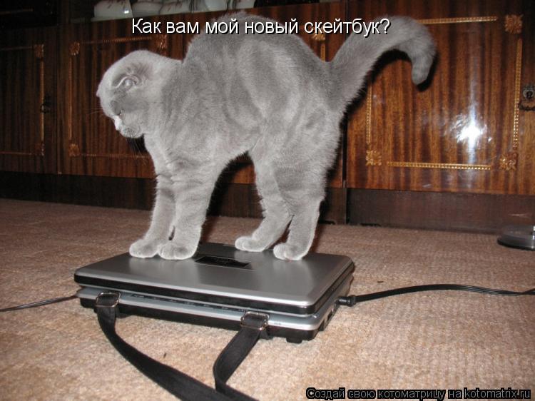 Котоматрица: Как вам мой новый скейтбук?