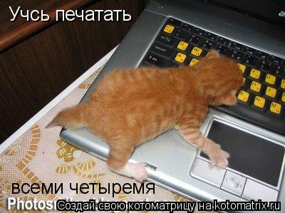 Котоматрица: Учсь печатать  всеми четыремя