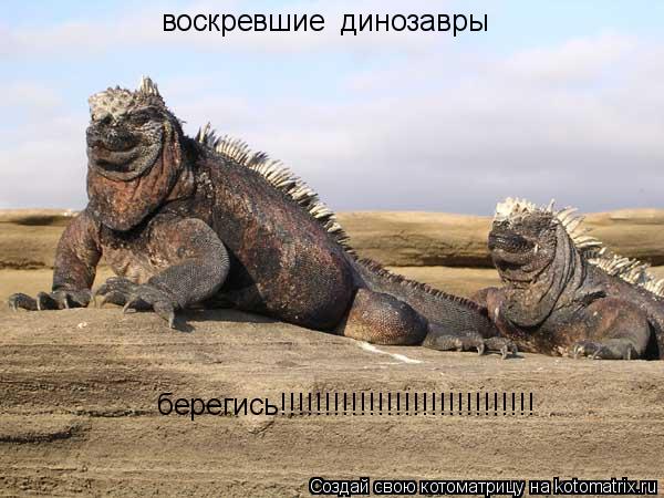 воскревшие динозавры берегись!!!!!!!!!!!!!!!!!!!!!!!!!!!!!... Котоматрица: воскревшие динозавры берегись!!!!!!!!!!!!!!!!!!!!!!!!!!!!!
