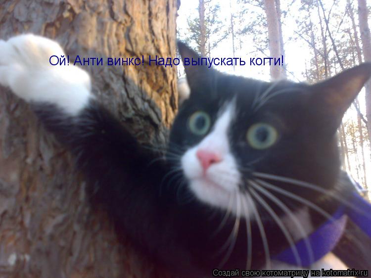 Ой! Анти винкс! Надо выпускать когти!... Котоматрица: Ой! Анти винкс! Надо выпускать когти!