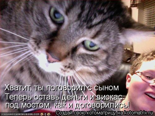 Котоматрица: Хватит, ты поговорил с сыном Теперь оставь деньги и вискас под мостом, как и договорились!