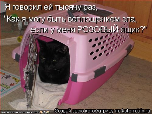 Котоматрица: Я говорил ей тысячу раз, "Как я могу быть воплощением зла, если у меня РОЗОВЫЙ ящик?"