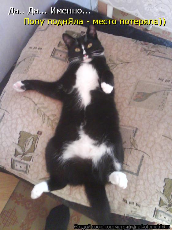 Котоматрица: Да.. Да... Именно...  Попу поднЯла - место потеряла))
