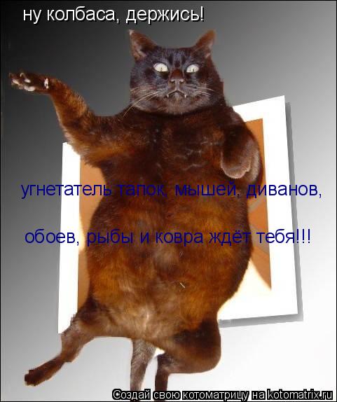 Котоматрица: ну колбаса, держись! угнетатель тапок, мышей, диванов, обоев, рыбы и ковра ждёт тебя!!!