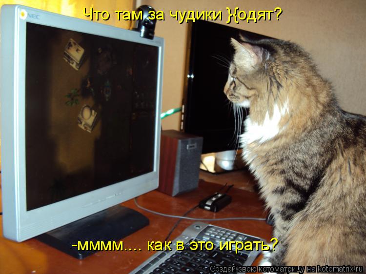 Котоматрица: -мммм.... как в это играть? Что там за чудики }{одят?