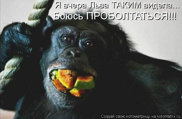 Я вчера Льва ТАКИМ видела... Боюсь ПРОБОЛТАТЬСЯ!!!... Котоматрица: Я вчера Льва ТАКИМ видела... Боюсь ПРОБОЛТАТЬСЯ!!!