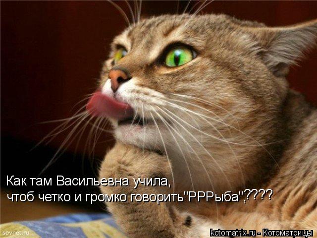 Котоматрица: Как там Васильевна учила, чтоб четко и громко говорить"РРРыба", ????