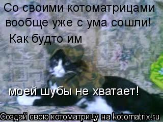 Котоматрица: Со своими котоматрицами  вообще уже с ума сошли! Как будто им  моей шубы не хватает!
