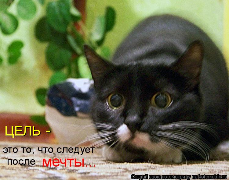 Котоматрица: ЦЕЛЬ - это то, что следует мечты... после