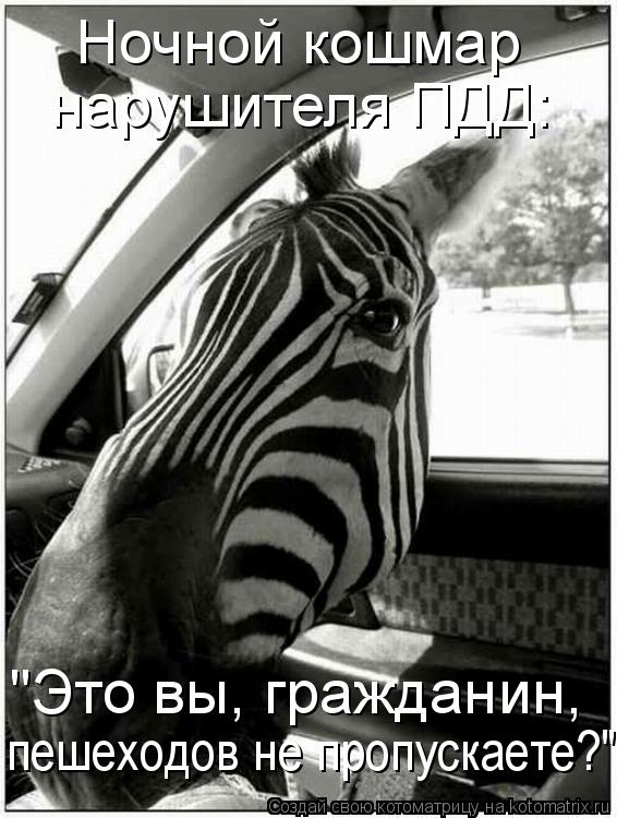 Котоматрица: Ночной кошмар нарушителя ПДД: "Это вы, гражданин,  пешеходов не пропускаете?"
