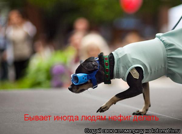 Котоматрица: Бывает иногда людям нефиг делать