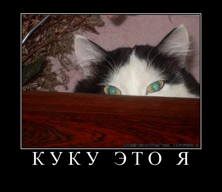 Котоматрица:  