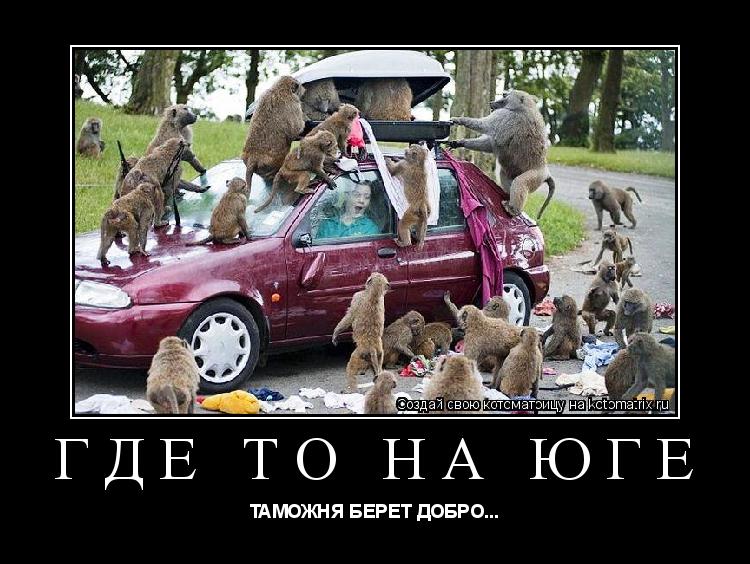 Котоматрица: ГДЕ ТО НА ЮГЕ ТАМОЖНЯ БЕРЕТ ДОБРО...