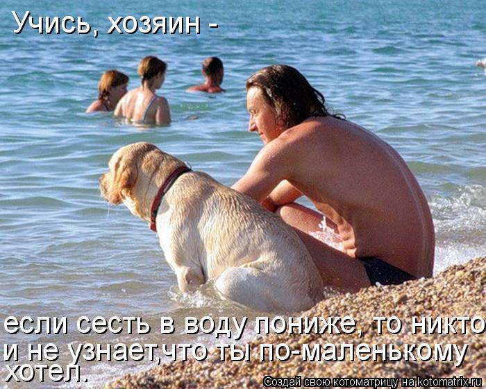 Котоматрица: Учись, хозяин -  если сесть в воду пониже, то никто и не узнает,что ты по-маленькому  хотел.