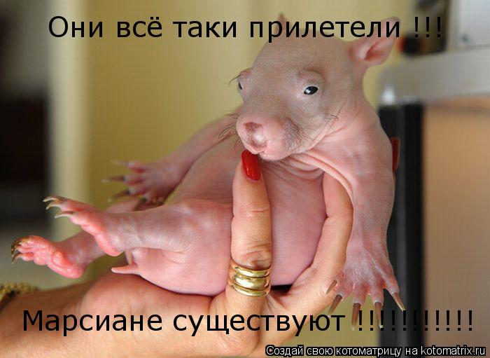 Котоматрица: Они всё таки прилетели !!! Марсиане существуют !!!!!!!!!!!