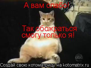 Котоматрица: А вам слабо! Так обожраться смогу только я!