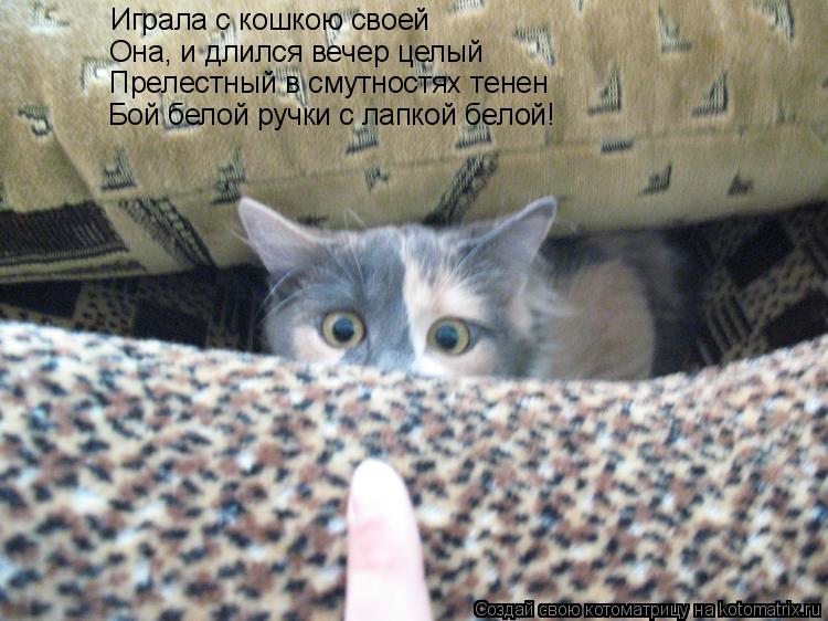Играла с кошкою своей Она, и длился вечер целый Прелестный в смутностях тенен Бой белой ручки с лапко... Котоматрица: Играла с кошкою своей Она, и длился вечер целый Прелестный в смутностях тенен Бой белой ручки с лапкой белой!