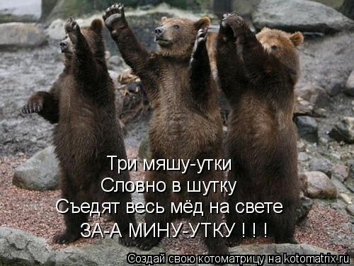 Три мяшу-утки Словно в шутку Съедят весь мёд на свете ЗА-А МИНУ-УТКУ ! ! !... Котоматрица: Три мяшу-утки Словно в шутку Съедят весь мёд на свете ЗА-А МИНУ-УТКУ ! ! !