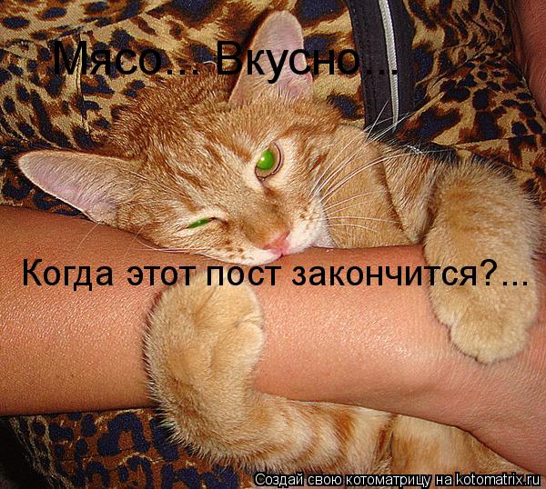 Мясо... Вкусно... Когда этот пост закончится?...... Котоматрица: Мясо... Вкусно... Когда этот пост закончится?...