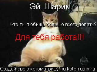 Эй, Шарик! Что ты любишь больше всего делать? Для тебя работа!!!... Котоматрица: Эй, Шарик! Что ты любишь больше всего делать? Для тебя работа!!!